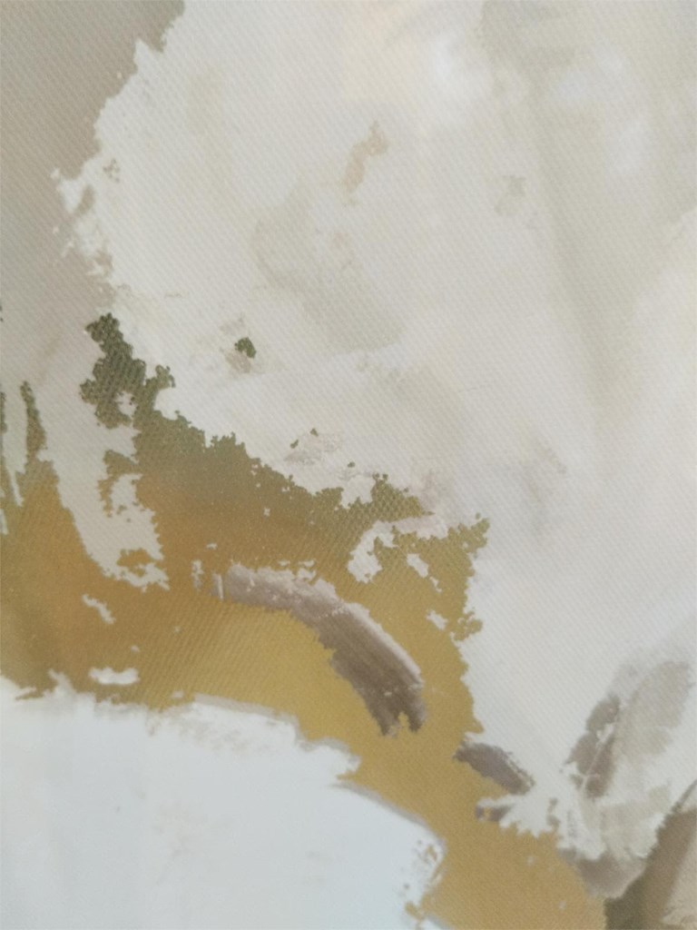 Foto 5 Cuadro FLORES, 100 x 100.