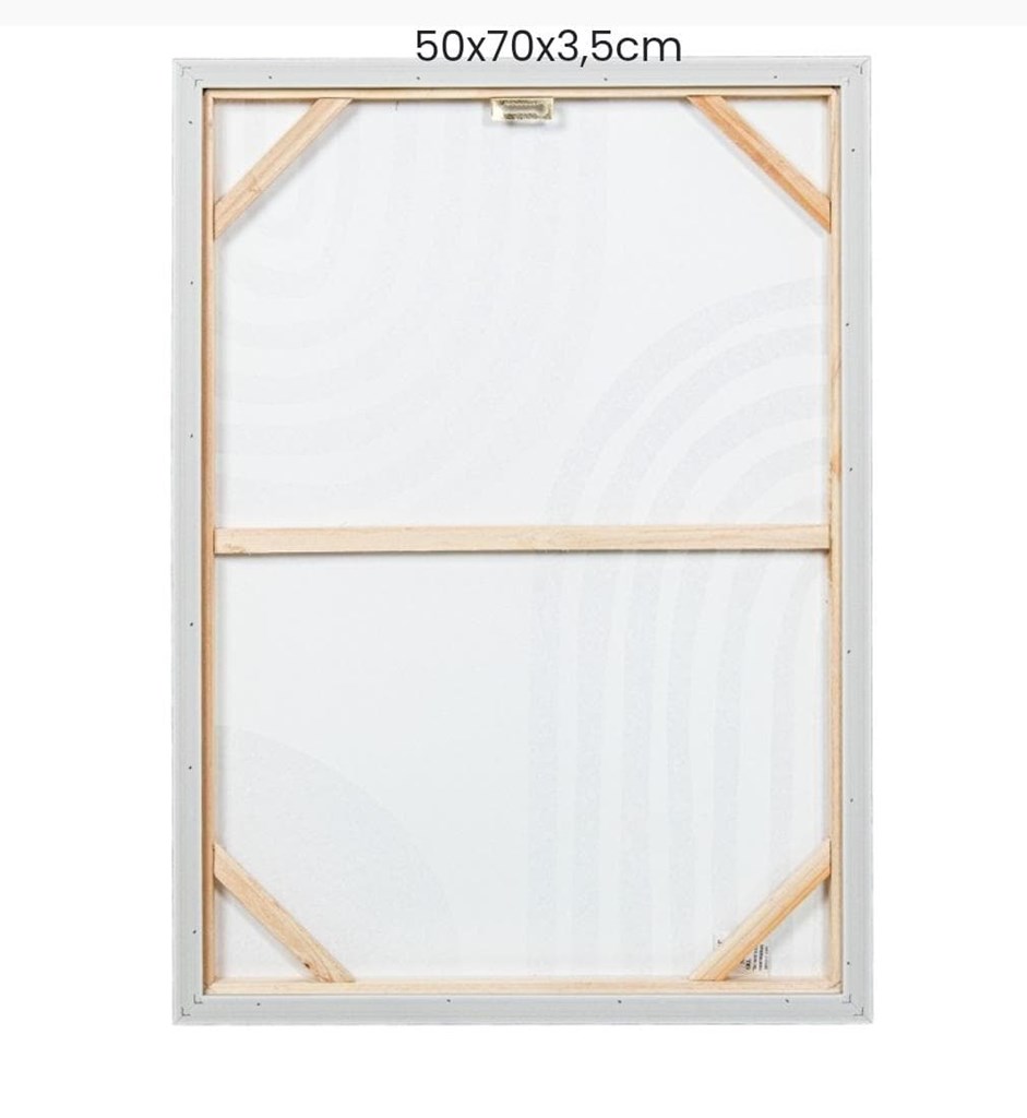 Foto 3 Cuadros ABSTRACTOS, 50X70cm.