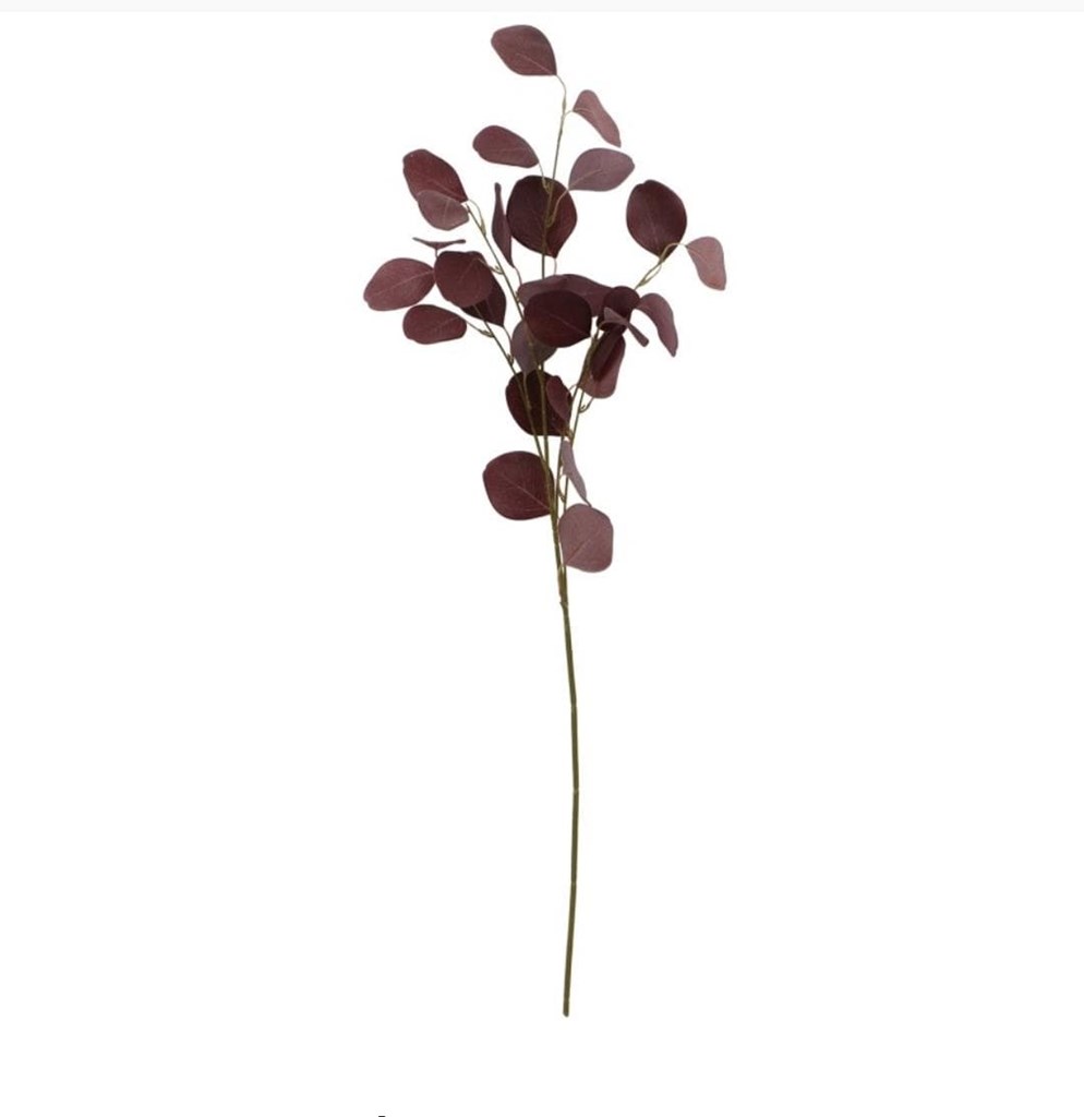 Foto 2  EUCALIPTO BURDEOS.