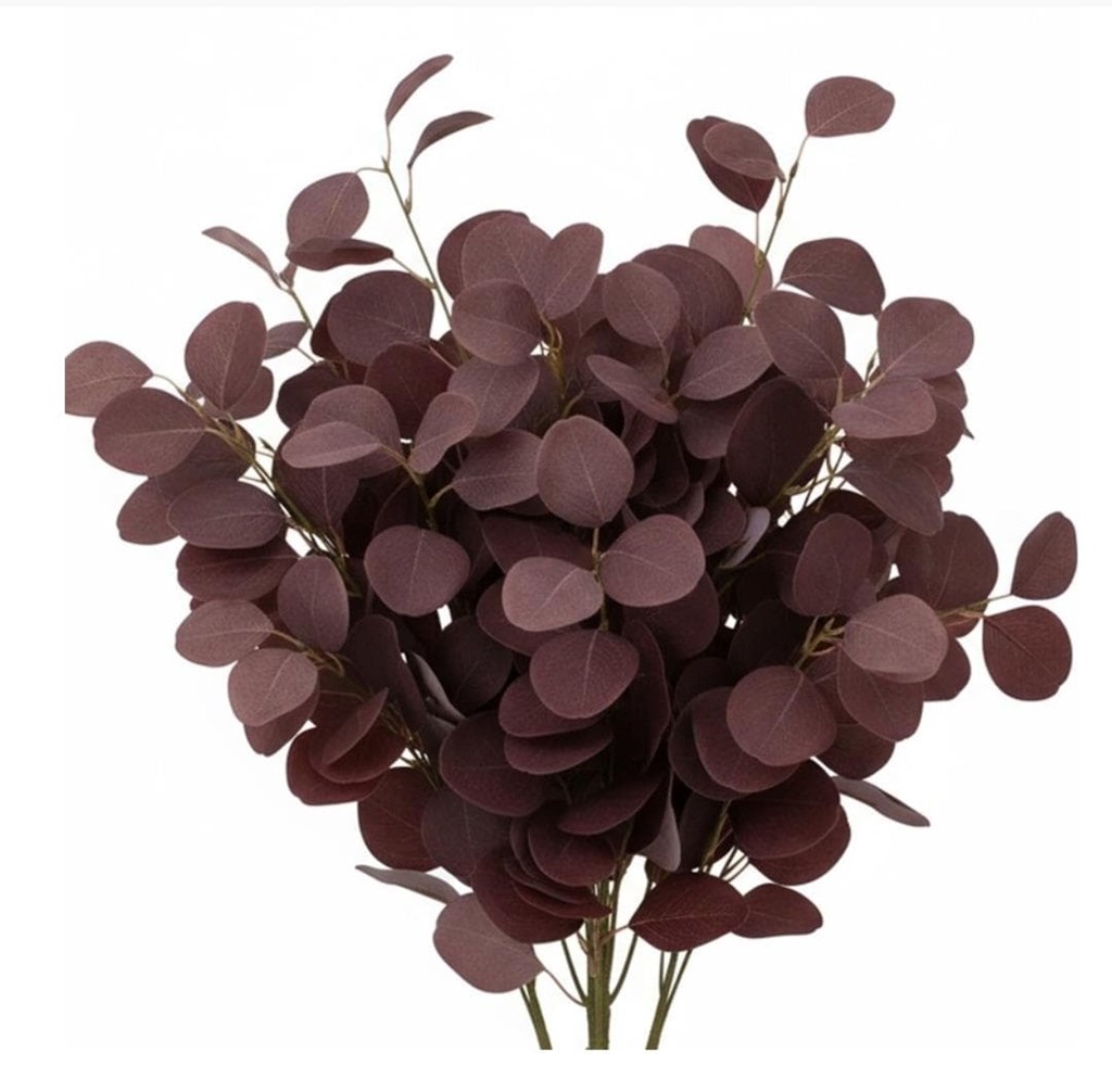 Foto 3  EUCALIPTO BURDEOS.