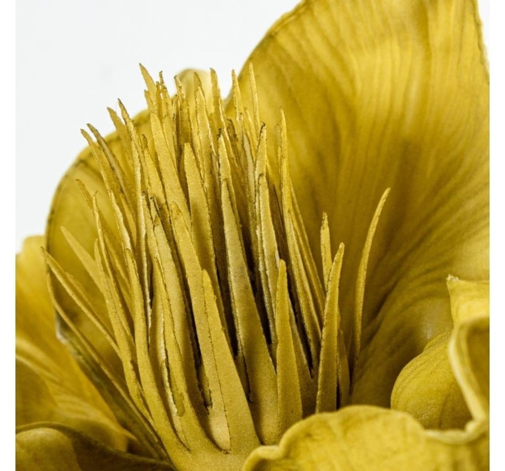 Foto 3 FLOR AMARILLA, 70cms.