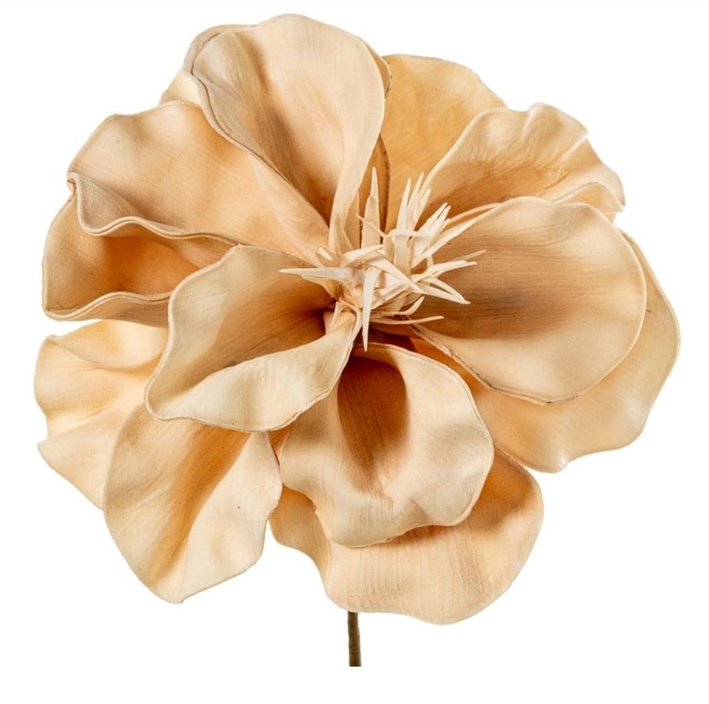 Foto 1 FLOR BEIS, 60cms.