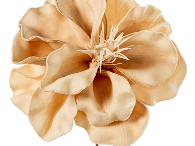 FLOR BEIS, 60cms.