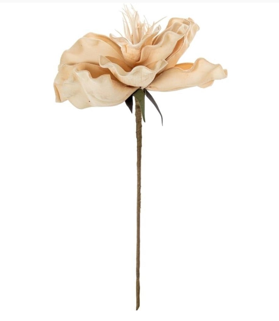 Foto 2 FLOR BEIS, 60cms.
