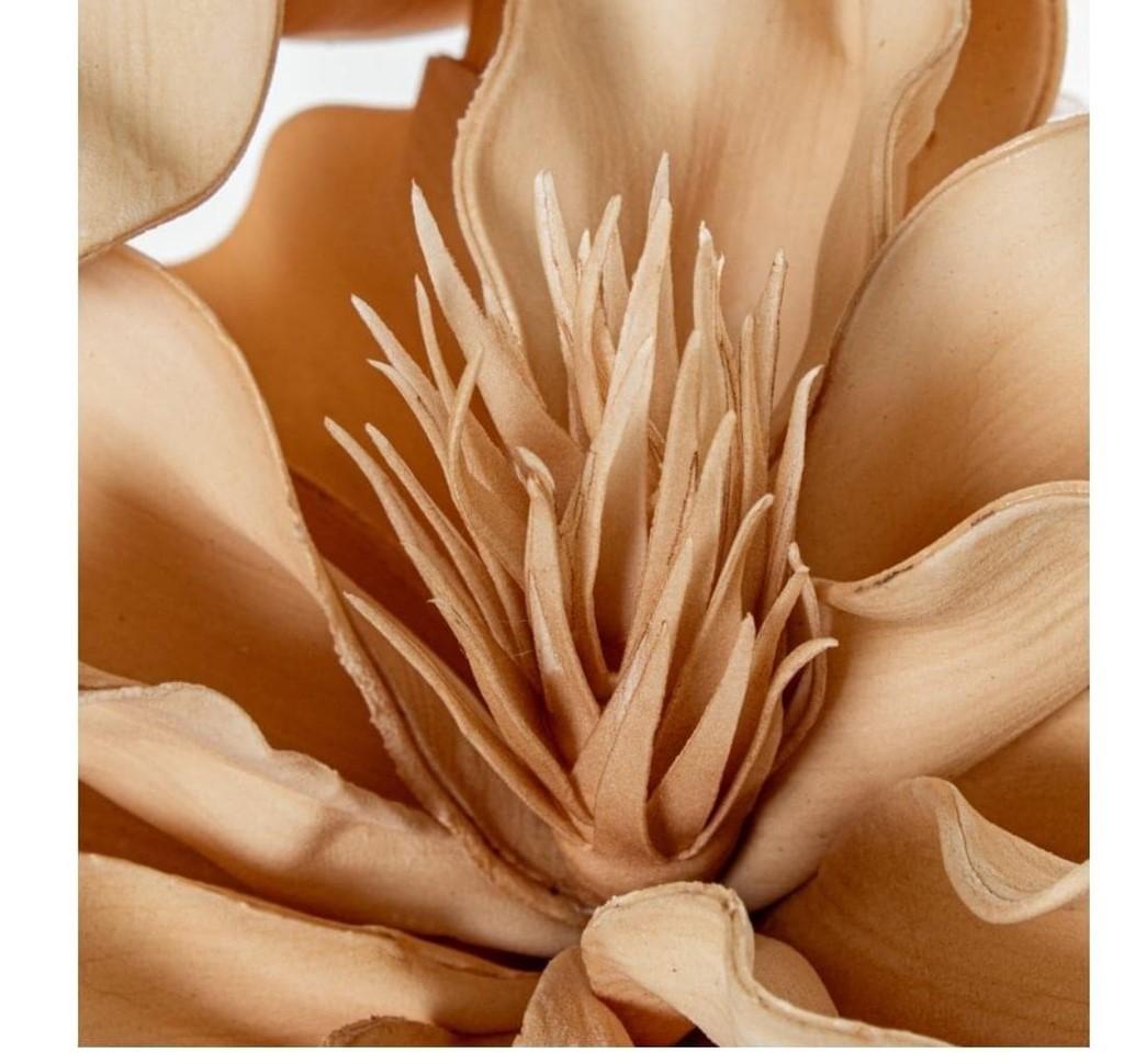 Foto 3 FLOR BEIS, 60cms.