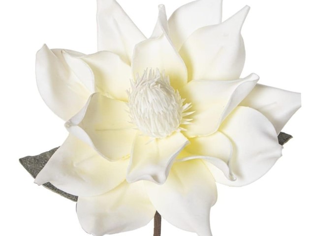 FLOR FOAM BEIS, 75cms.