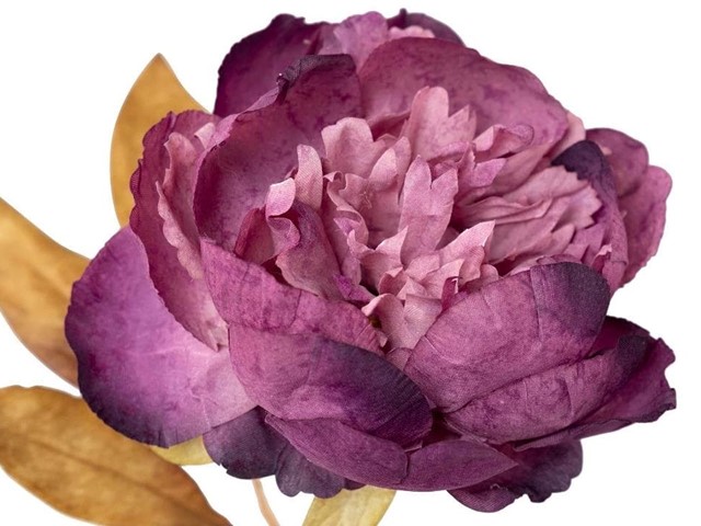 Flor PEONÍA MORADA, 66cms.