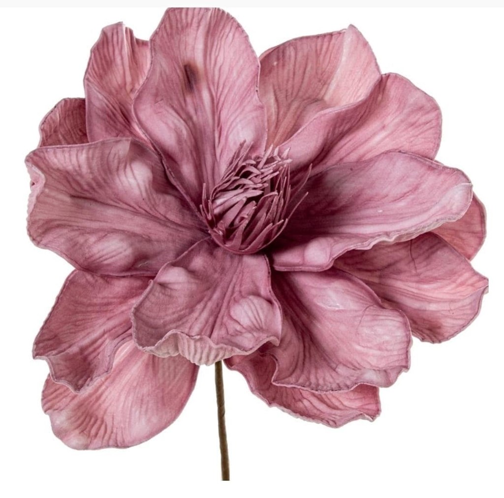 Foto 1 FLOR ROSA, 70cms.