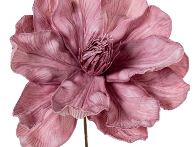 FLOR ROSA, 70cms.