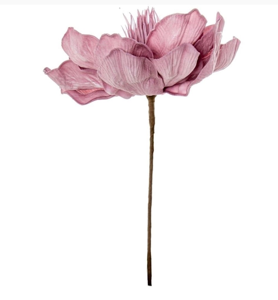 Foto 2 FLOR ROSA, 70cms.