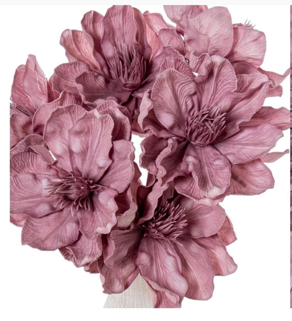 Foto 7 FLOR ROSA, 70cms.