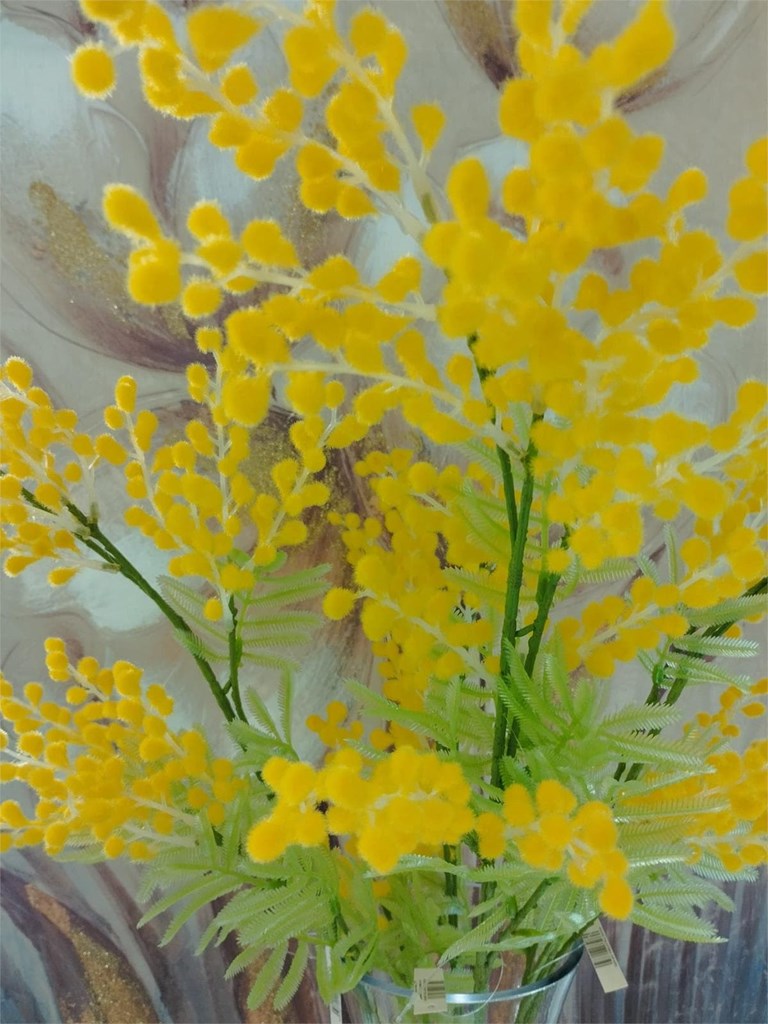 Foto 4 MIMOSA, 75CM