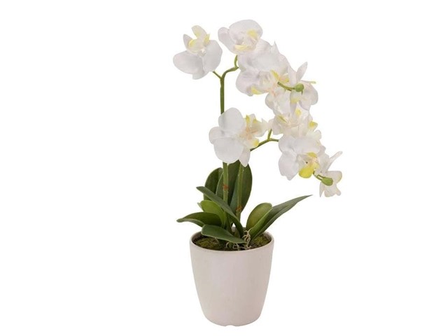 ORQUÍDEA BLANCA, 33cms.