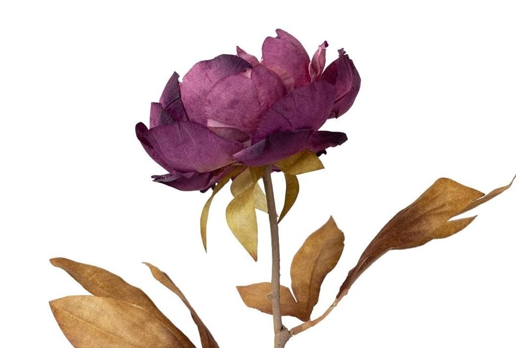 Foto 2 PEONÍA MORADA, 66cms.