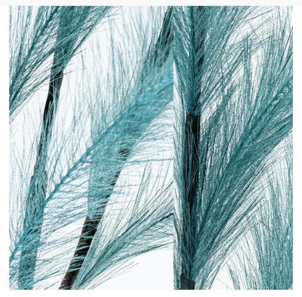 Foto 3 PLUMAS AZULES, 102cms.