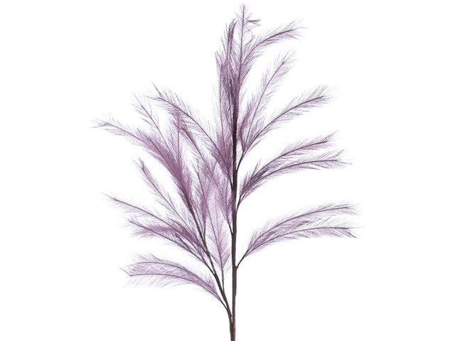 PLUMAS PURPURA, 110cms.