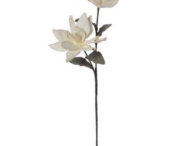 Rama 2 FLORES CREMA, 110cms.