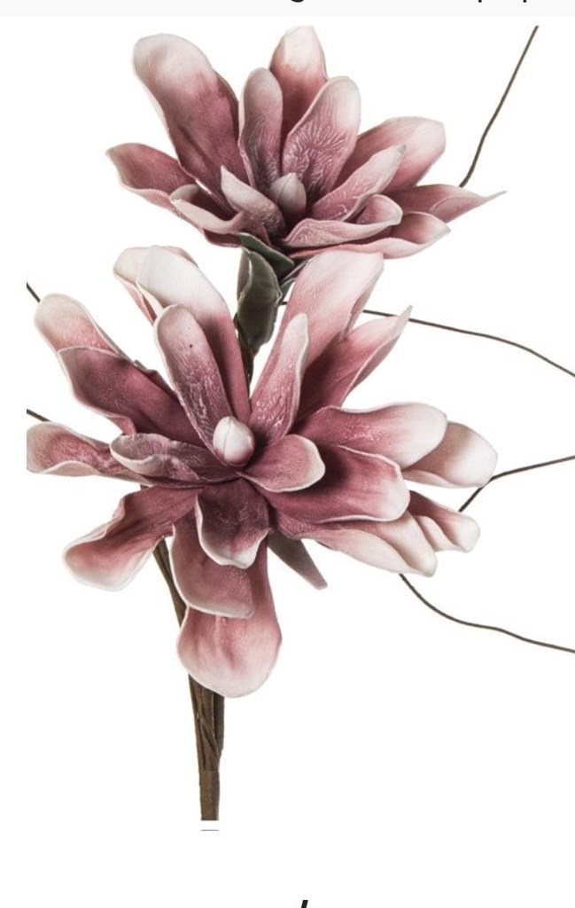 Foto 1 Rama 2 FLORES ROSA, 95 cms.