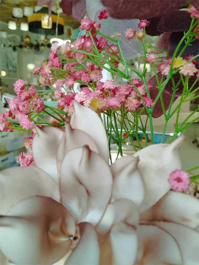 Foto 4 RAMA PANICULATA ROSA, 65CM.
